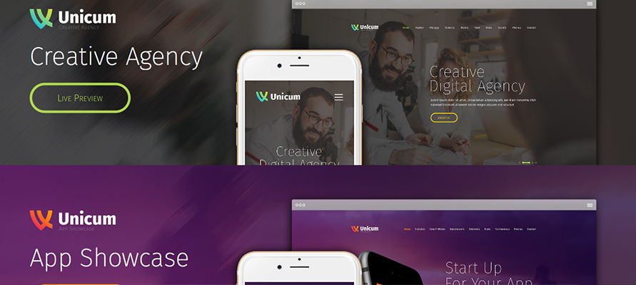 webdesign-options